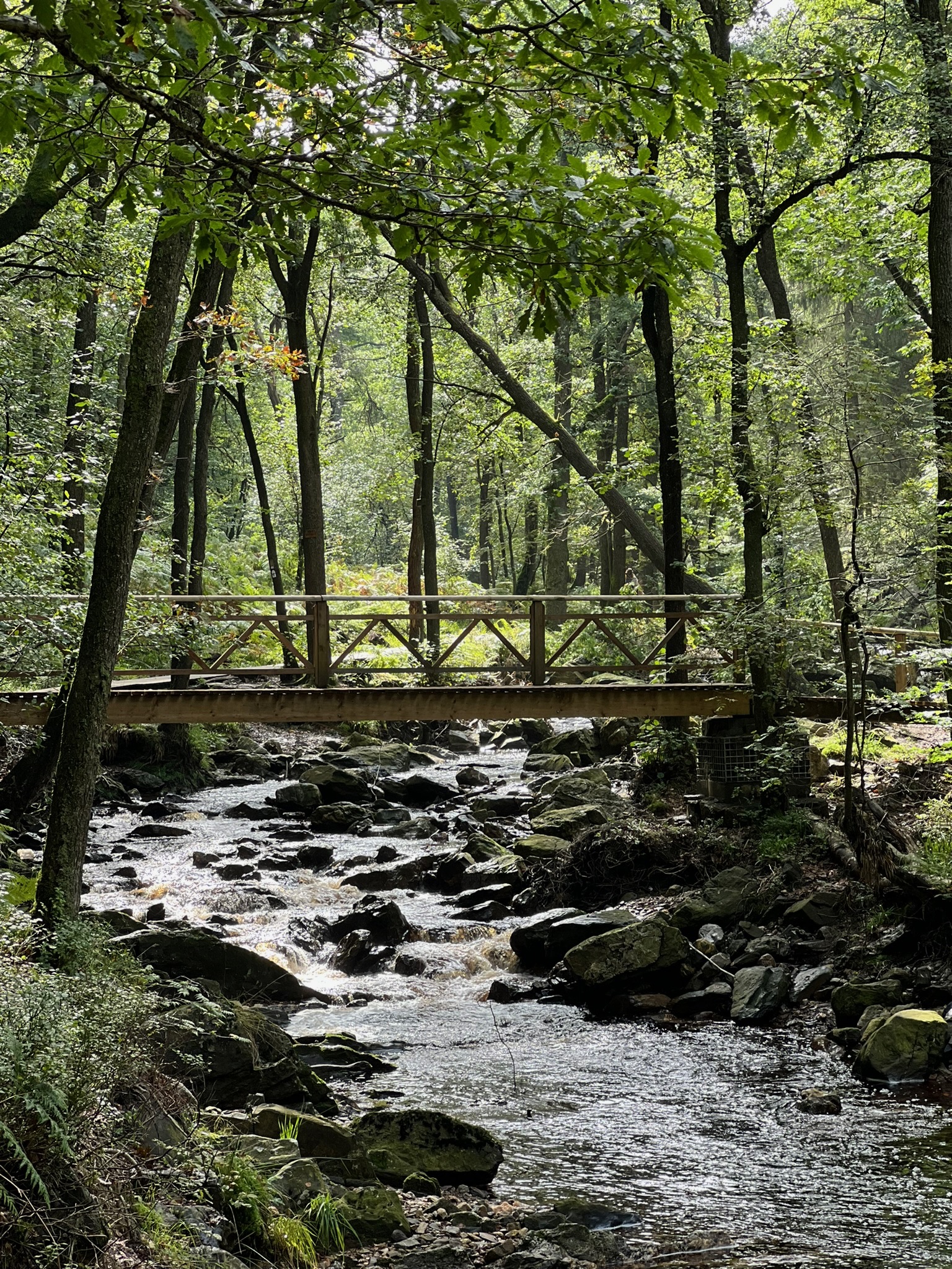 Wild Heart Weekend Ardennen